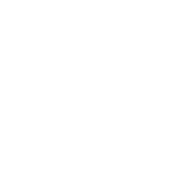Binance Wallet logo